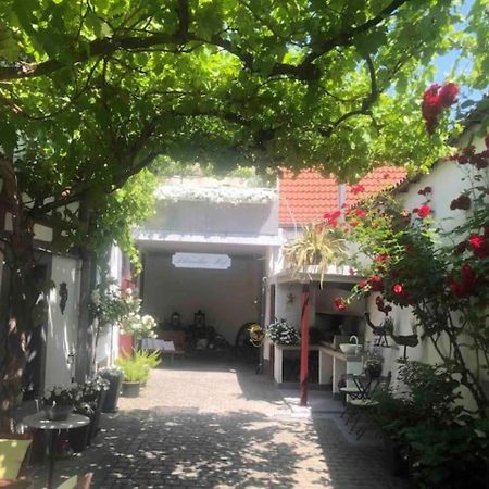 Ferienwohnung Im 'Schmoller - Hof' Neustadt an der Weinstrasse Ngoại thất bức ảnh