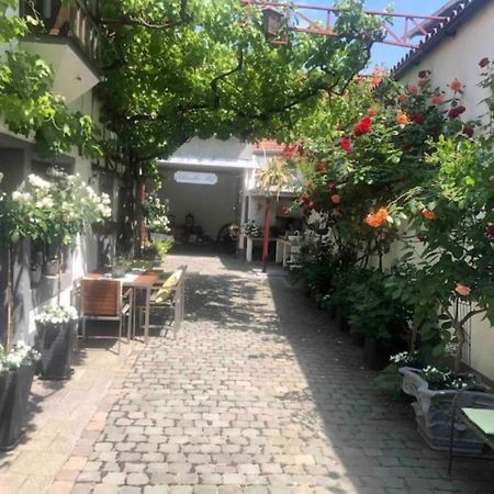 Ferienwohnung Im 'Schmoller - Hof' Neustadt an der Weinstrasse Ngoại thất bức ảnh