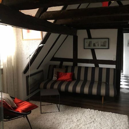 Ferienwohnung Im 'Schmoller - Hof' Neustadt an der Weinstrasse Ngoại thất bức ảnh