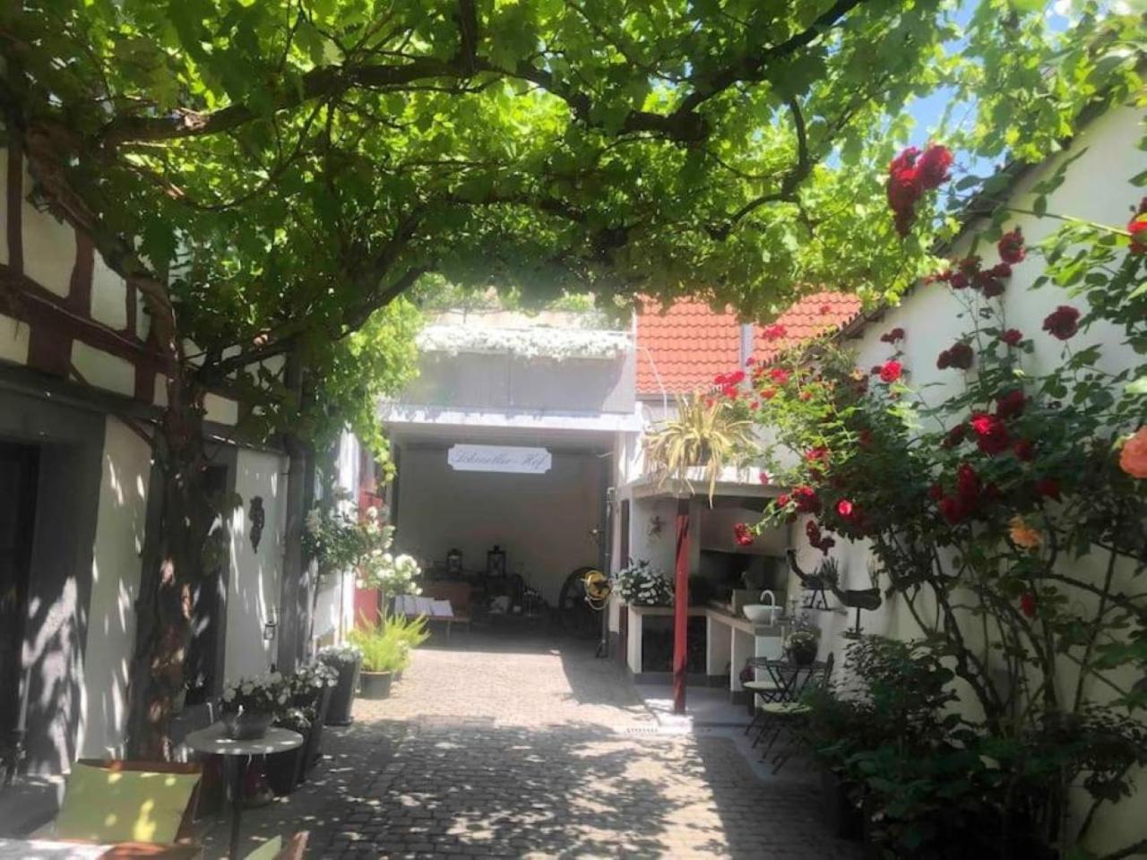 Ferienwohnung Im 'Schmoller - Hof' Neustadt an der Weinstrasse Ngoại thất bức ảnh