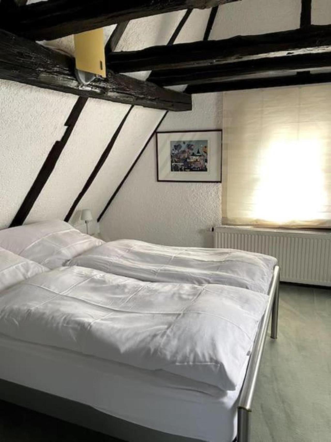 Ferienwohnung Im 'Schmoller - Hof' Neustadt an der Weinstrasse Ngoại thất bức ảnh