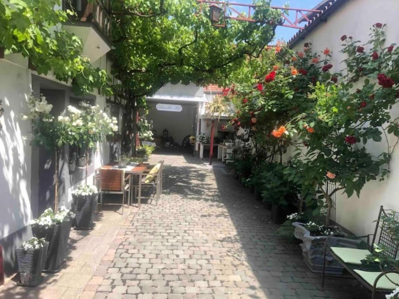 Ferienwohnung Im 'Schmoller - Hof' Neustadt an der Weinstrasse Ngoại thất bức ảnh